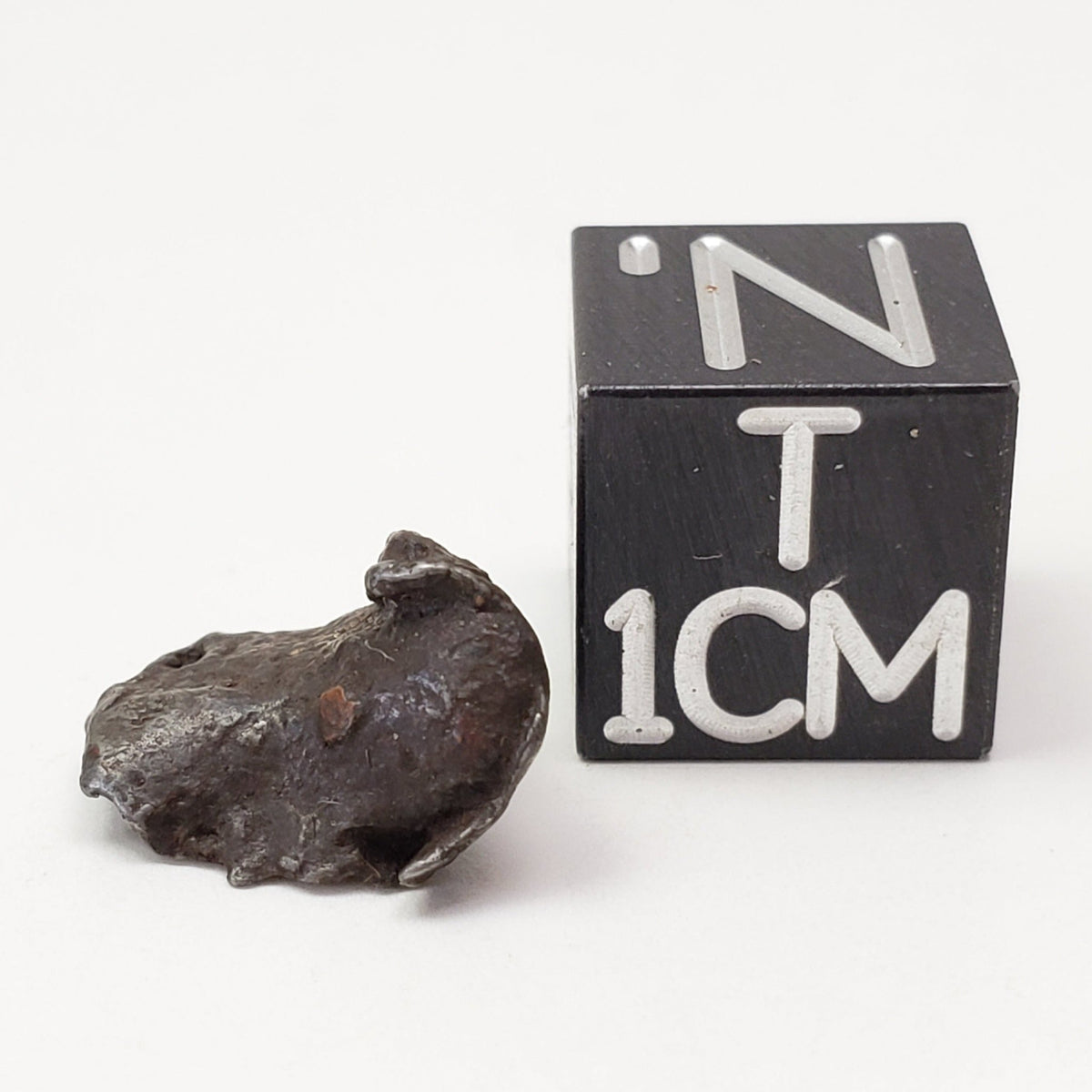  Meteorite-in-a-Box Mini World Collection Trio | Sericho, Sikhote-Alin & Seymchan 3