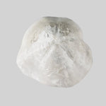  Micraster Echinoid Fossil | Natural Fossilized | Late Cretaceous Campanian | 147.5 gr | Rzezusnia, Poland 3