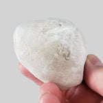  Micraster Echinoid Fossil | Natural Fossilized | Late Cretaceous Campanian | 147.5 gr | Rzezusnia, Poland 1