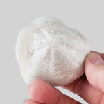  Micraster Echinoid Fossil | Natural Fossilized | Late Cretaceous Campanian | 147.5 gr | Rzezusnia, Poland 