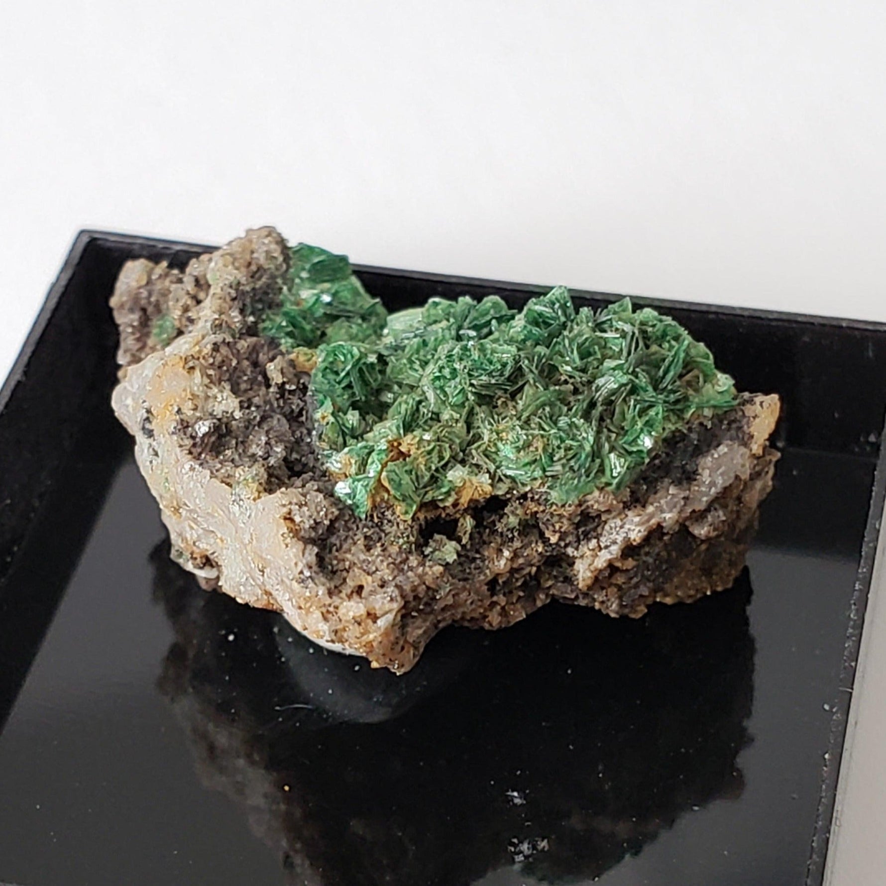  Mineral World Series Crystal Collection | Lot of 4 | Protective Display Box | Rare Premium Specimens | SO24 4