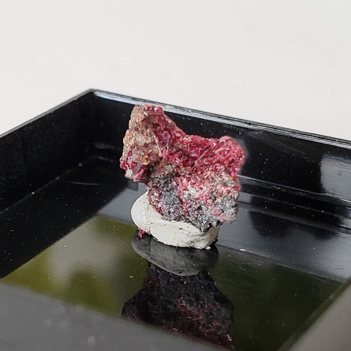  Mineral World Series Crystal Collection | Lot of 4 | Protective Display Box | Rare Premium Specimens | SO24 8