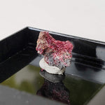  Mineral World Series Crystal Collection | Lot of 4 | Protective Display Box | Rare Premium Specimens | SO24 8