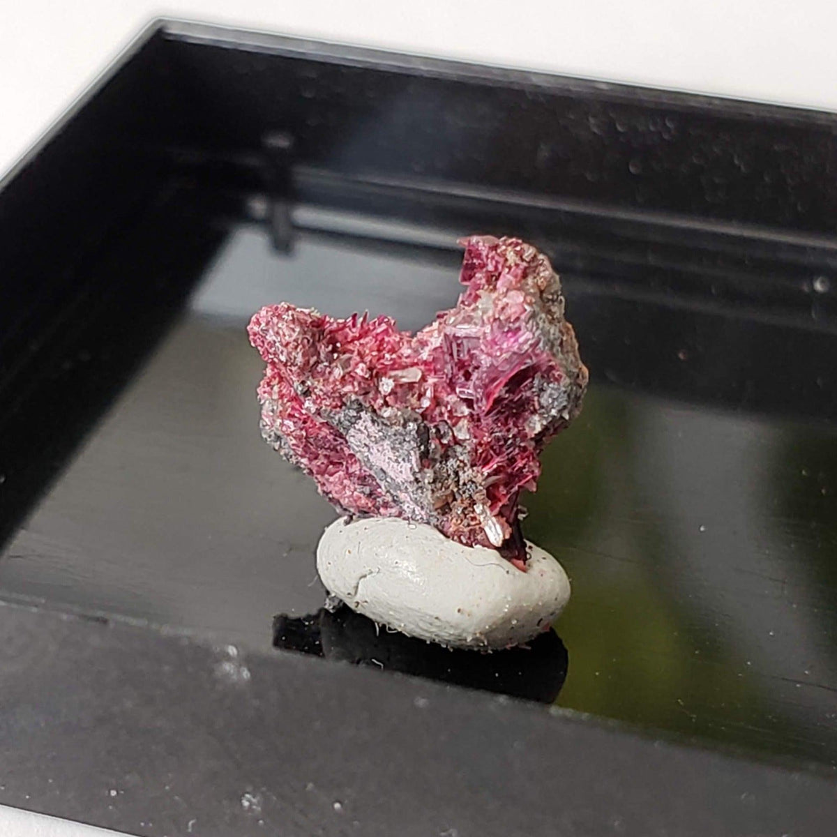  Mineral World Series Crystal Collection | Lot of 4 | Protective Display Box | Rare Premium Specimens | SO24 9
