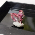  Mineral World Series Crystal Collection | Lot of 4 | Protective Display Box | Rare Premium Specimens | SO24 9