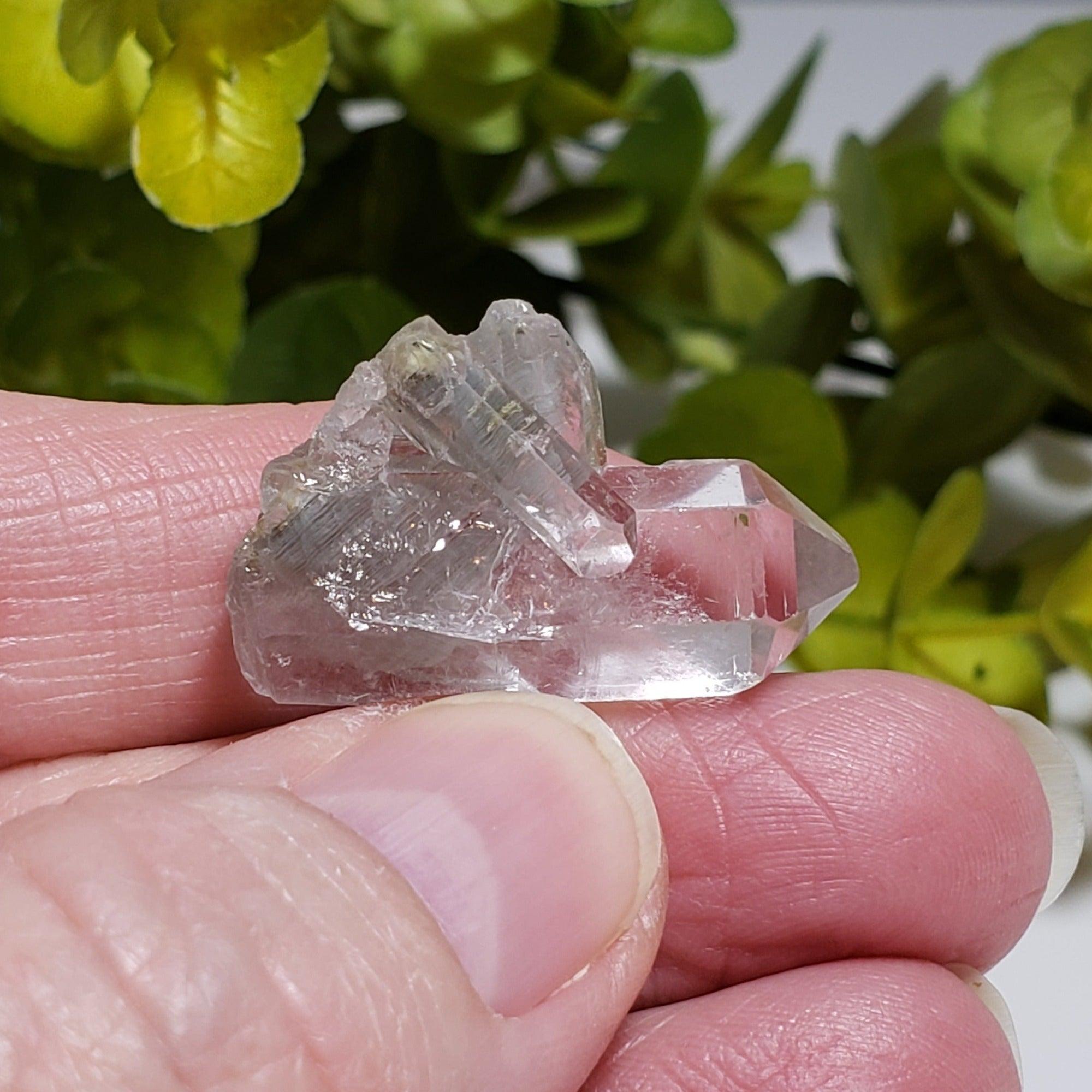 Multirich Quartz Multi Terminated Quartz Point | Natural Quartz | 30 mm | Brazil | SO24