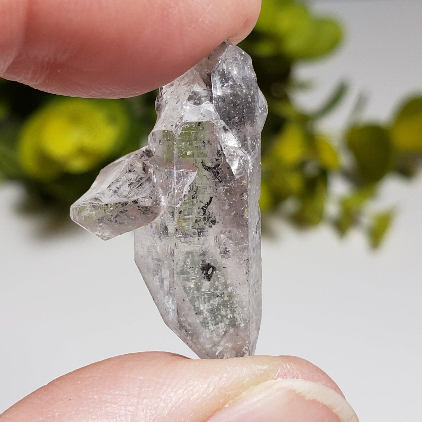  Multi Terminated Quartz Point | Natural Quartz | 31 mm | Brazil 