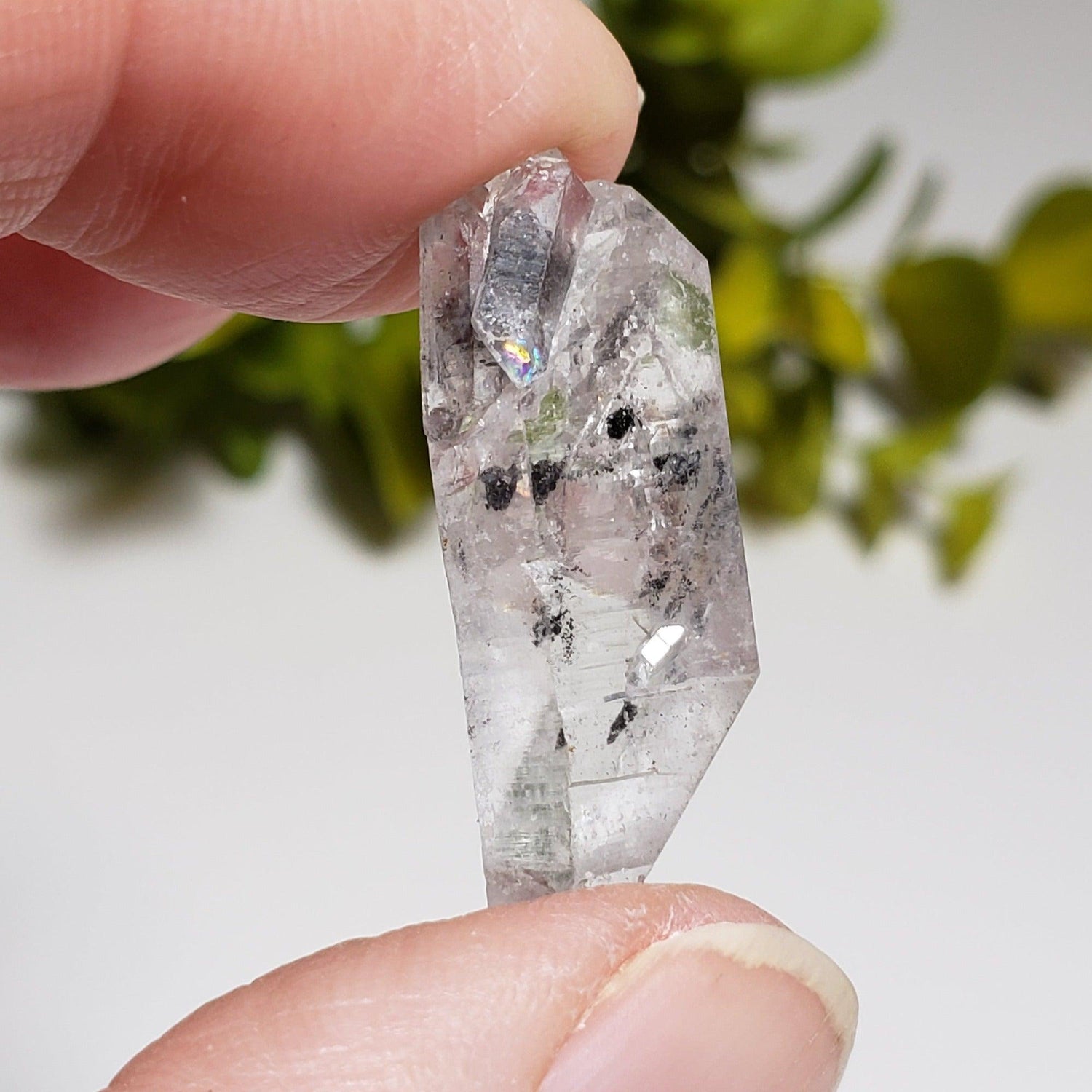  Multi Terminated Quartz Point | Natural Quartz | 31 mm | Brazil 1