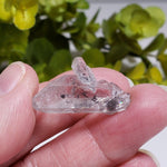 Multi Terminated Quartz Point | Natural Quartz | 31 mm | Brazil 2
