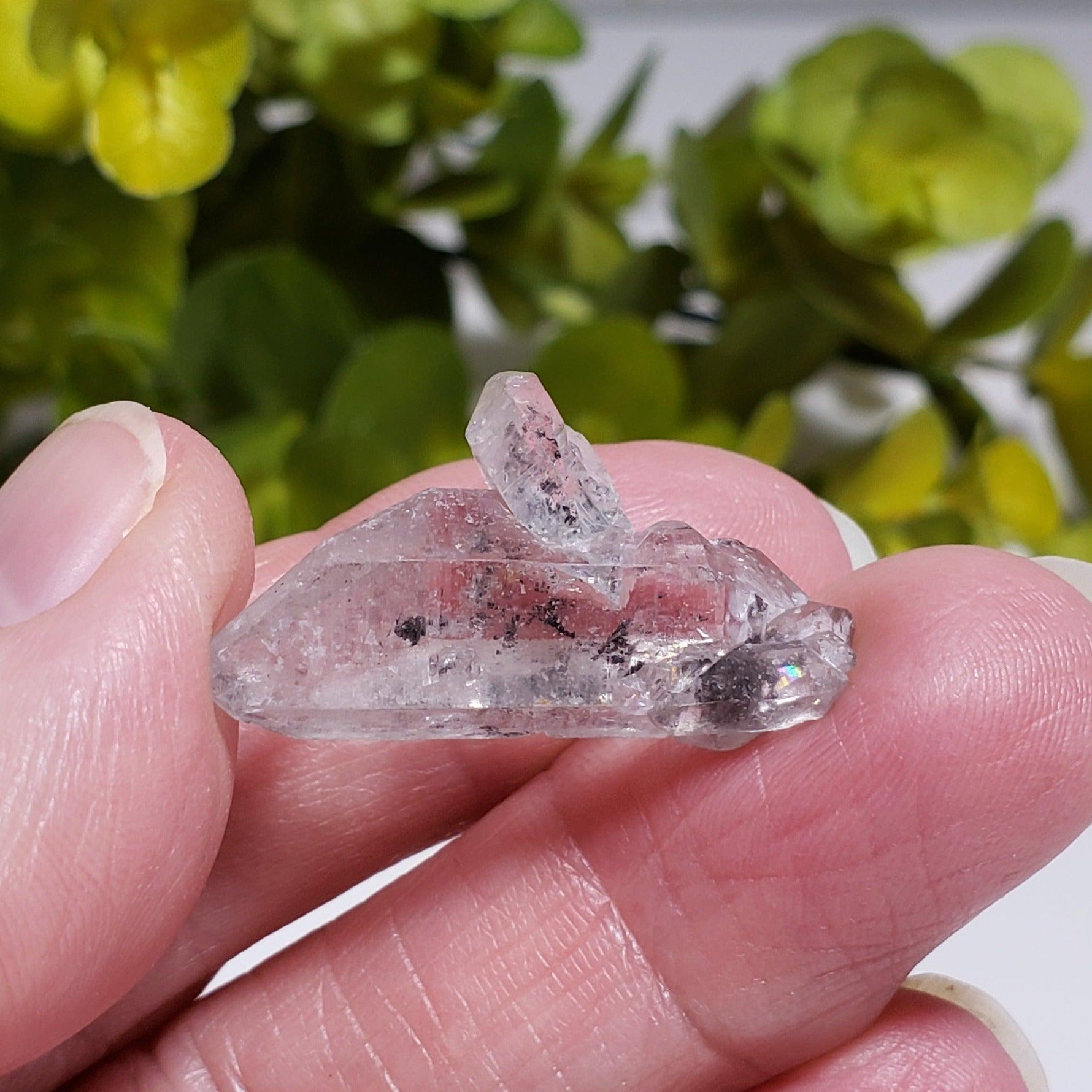  Multi Terminated Quartz Point | Natural Quartz | 31 mm | Brazil 2