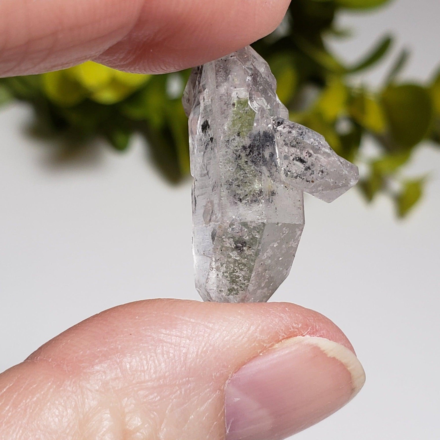  Multi Terminated Quartz Point | Natural Quartz | 31 mm | Brazil 3