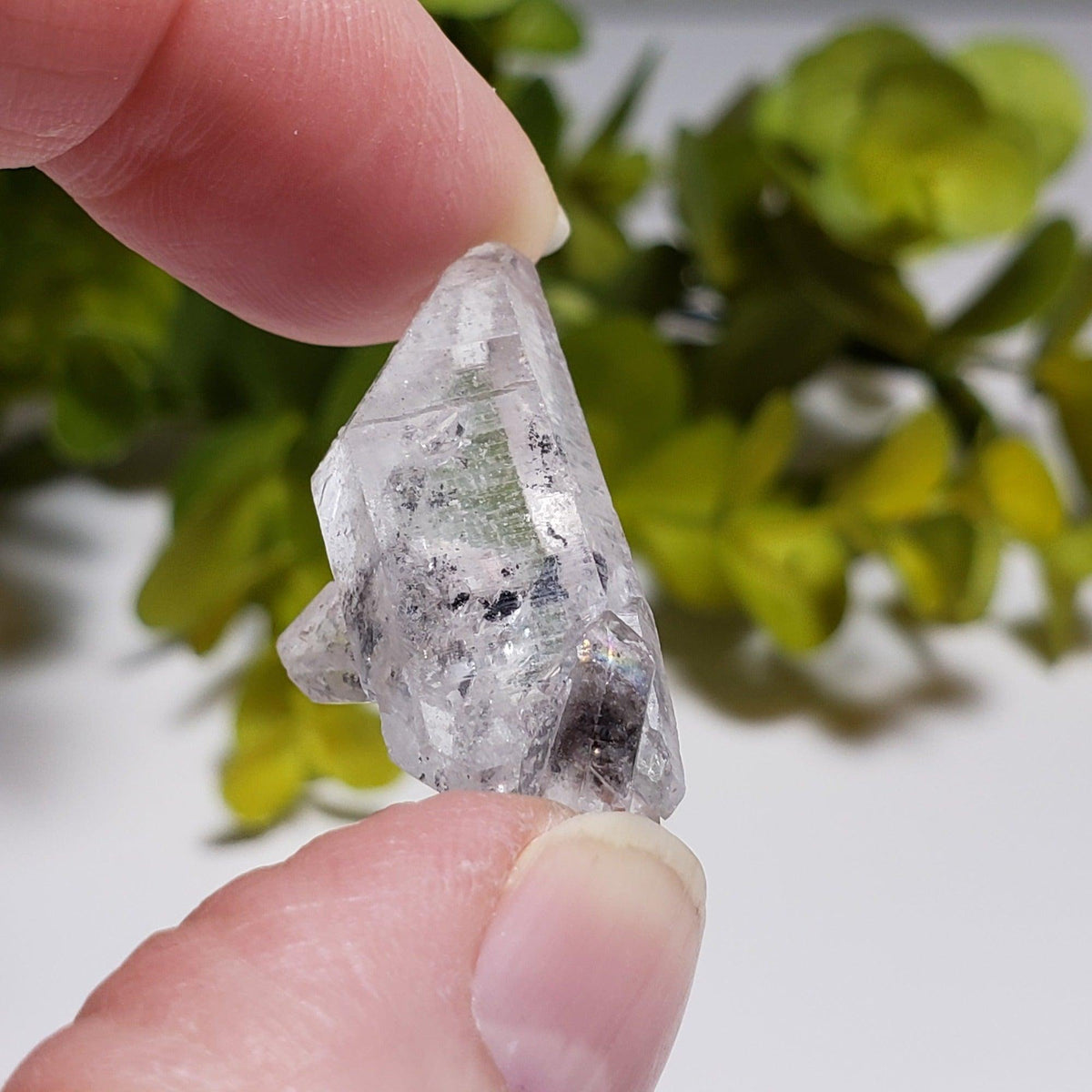  Multi Terminated Quartz Point | Natural Quartz | 31 mm | Brazil 4