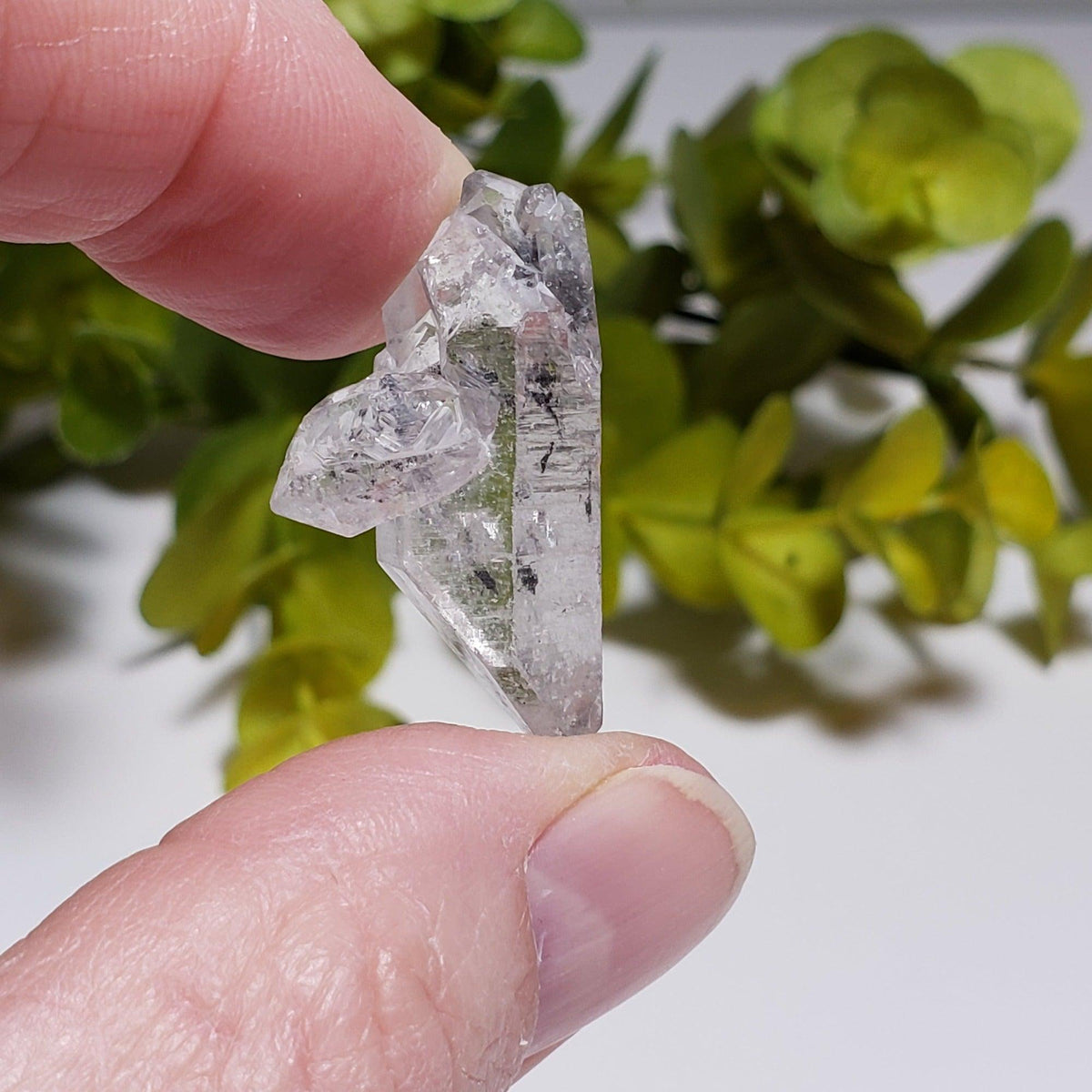  Multi Terminated Quartz Point | Natural Quartz | 31 mm | Brazil 5