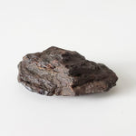  Mundrabilla Meteorite | 5.68 grams |  Individual | Iron IAB-ung Shale SO24 5