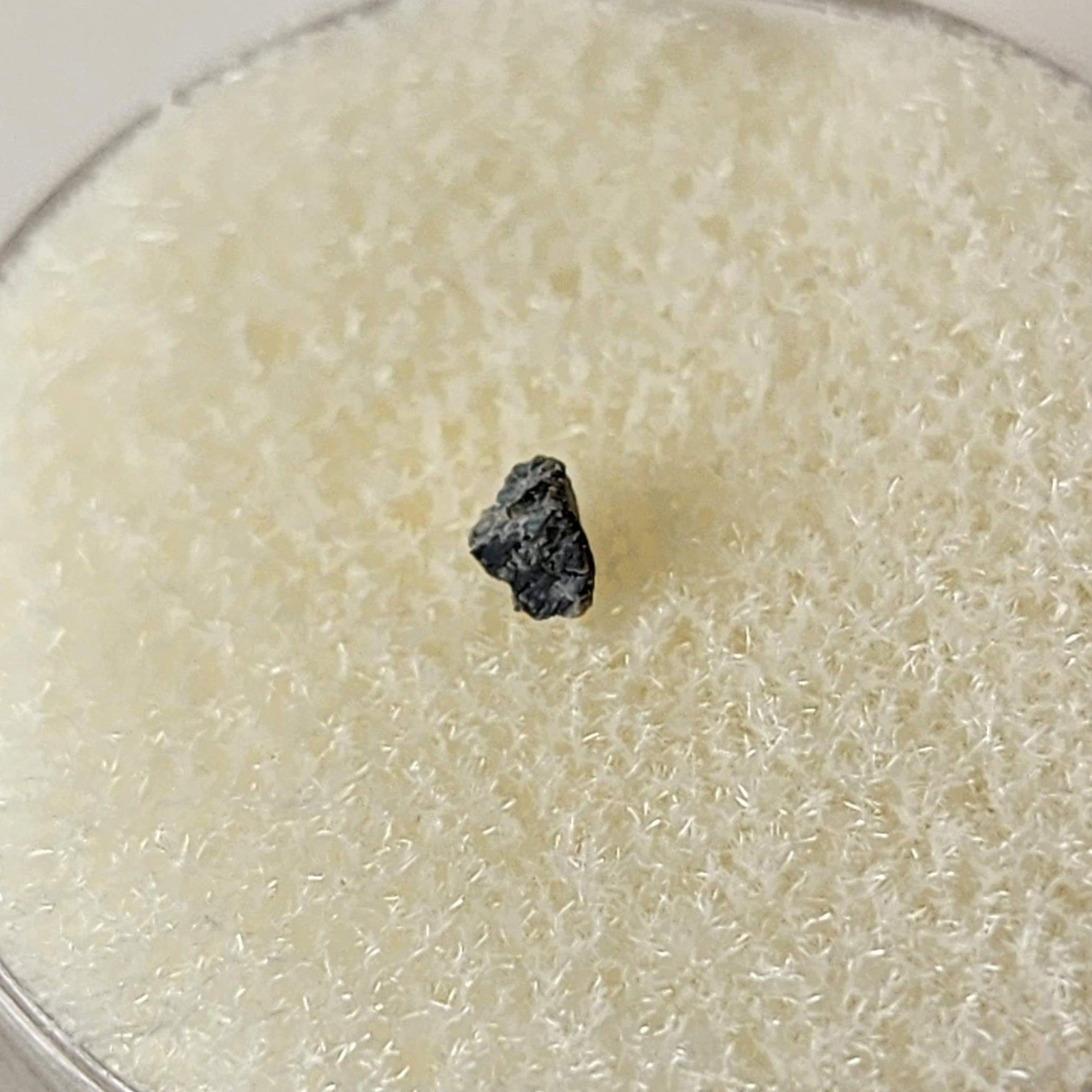  NEA 001 Meteorite | 0.010 Gr | Lunar Fragment | Anorthositic Regolith Breccia | Moon Low TKW | SO24 5