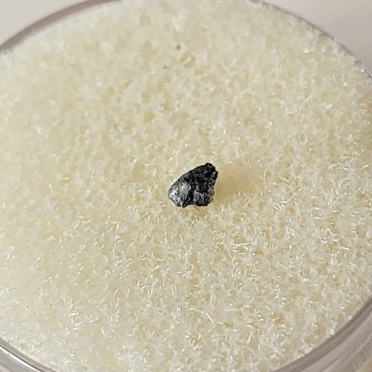  NEA 001 Meteorite | 0.010 Gr | Lunar Fragment | Anorthositic Regolith Breccia | Moon Low TKW | SO24 6