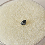  NEA 001 Meteorite | 0.010 Gr | Lunar Fragment | Anorthositic Regolith Breccia | Moon Low TKW | SO24 6