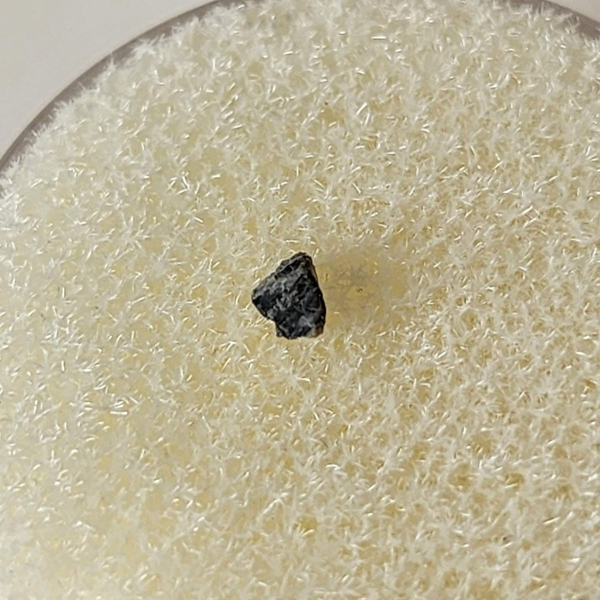  NEA 001 Meteorite | 0.010 Gr | Lunar Fragment | Anorthositic Regolith Breccia | Moon Low TKW | SO24 7