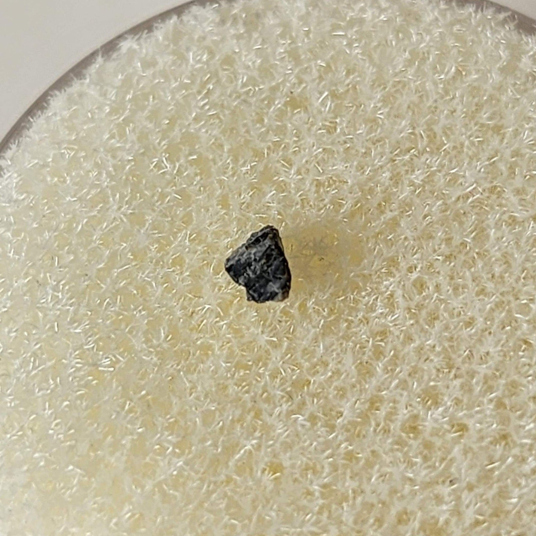  NEA 001 Meteorite | 0.010 Gr | Lunar Fragment | Anorthositic Regolith Breccia | Moon Low TKW | SO24 7