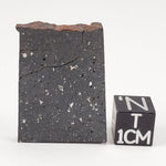  NWA 091 Meteorite | 8.59 Gr | Part Slice | L6 Chondrite | Low TKW | Sahara | SO24 