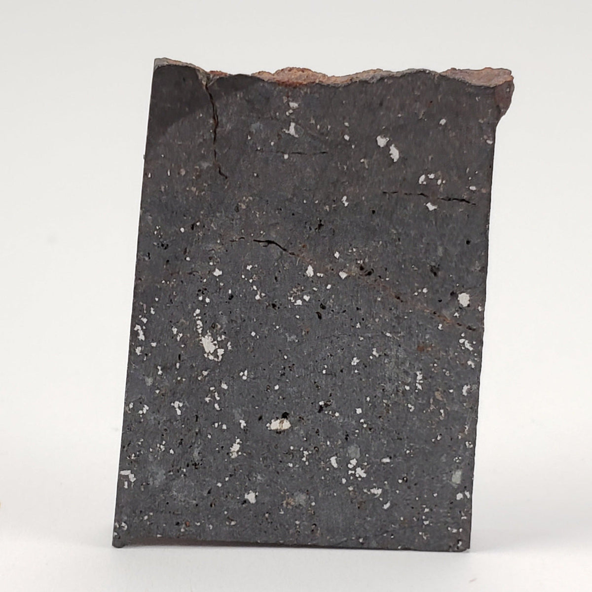  NWA 091 Meteorite | 8.59 Gr | Part Slice | L6 Chondrite | Low TKW | Sahara | SO24 1