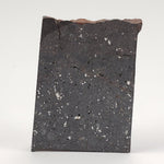  NWA 091 Meteorite | 8.59 Gr | Part Slice | L6 Chondrite | Low TKW | Sahara | SO24 1