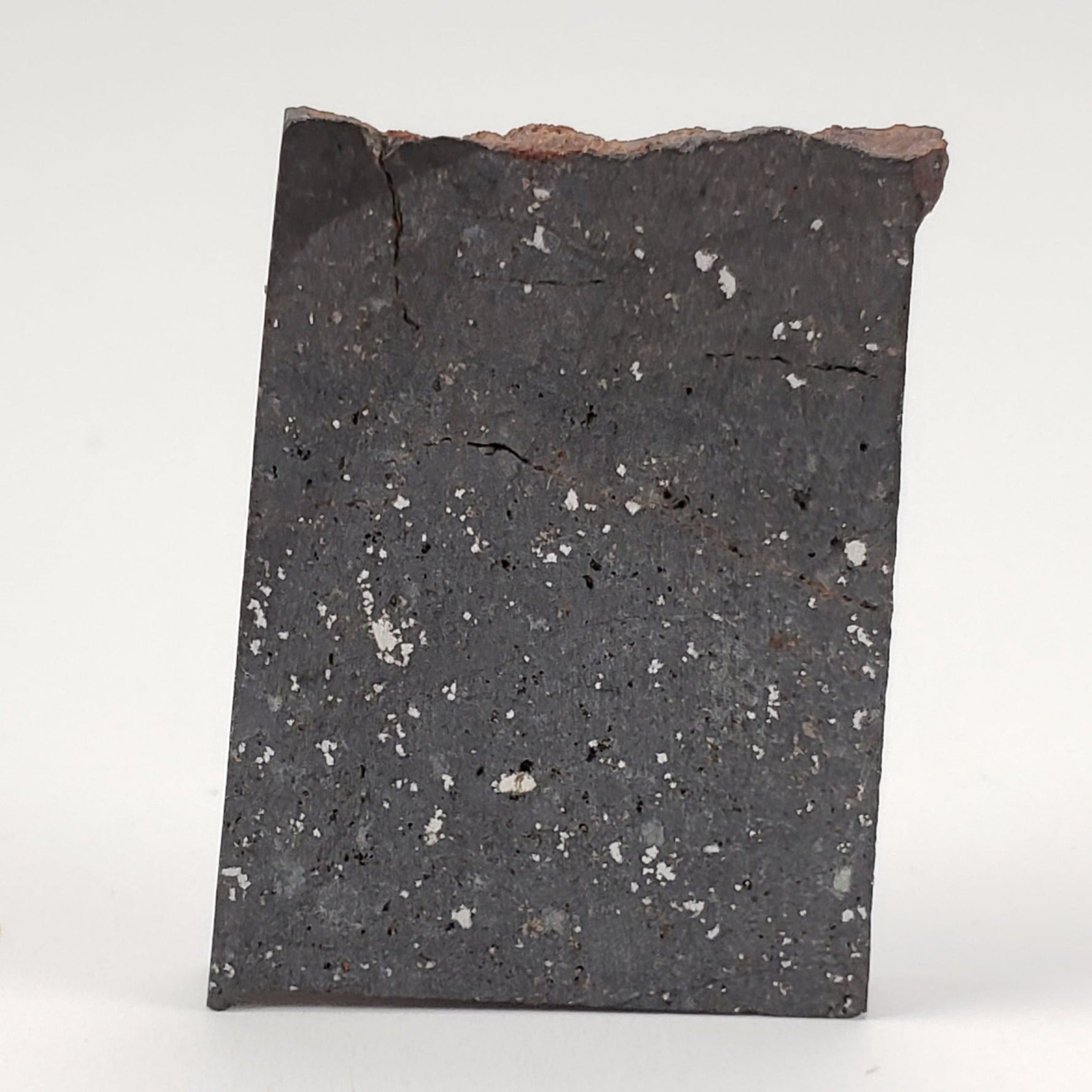  NWA 091 Meteorite | 8.59 Gr | Part Slice | L6 Chondrite | Low TKW | Sahara | SO24 1