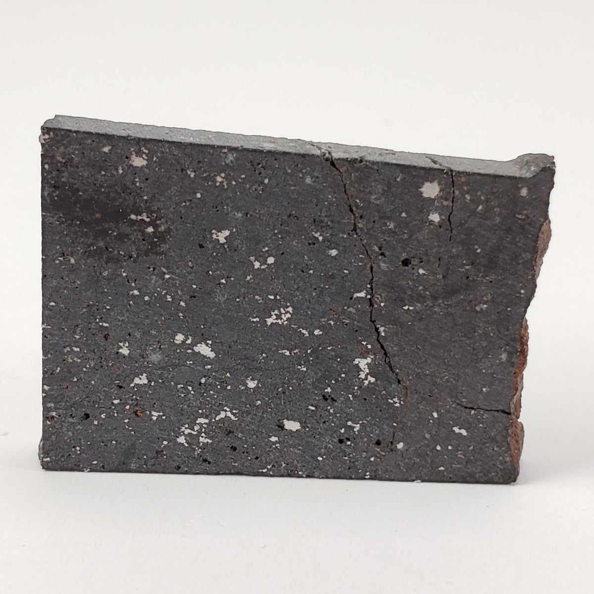  NWA 091 Meteorite | 8.59 Gr | Part Slice | L6 Chondrite | Low TKW | Sahara | SO24 2