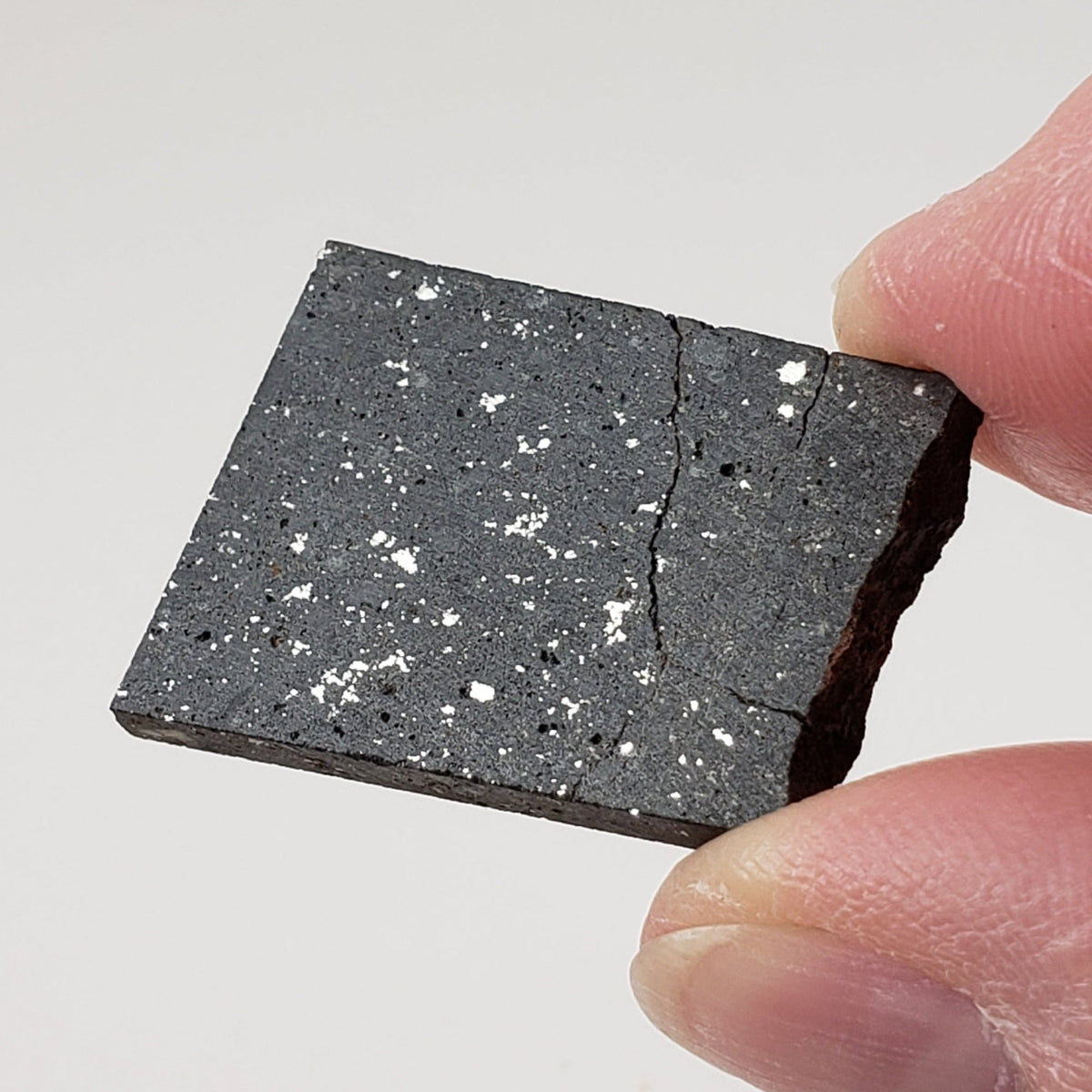  NWA 091 Meteorite | 8.59 Gr | Part Slice | L6 Chondrite | Low TKW | Sahara | SO24 6
