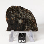  NWA 2384 Meteorite-in-a-Box | 15.6 Grams | Part Slice | LL4 Large Chondrules | Low TKW | Sahara Desert | SO24 