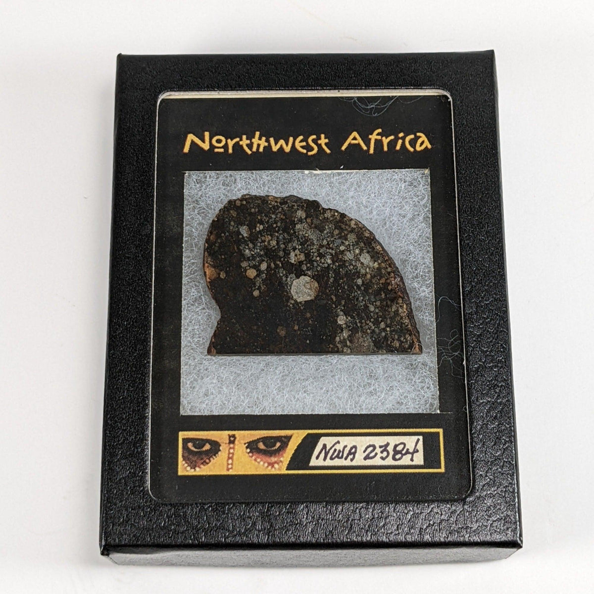  NWA 2384 Meteorite-in-a-Box | 15.6 Grams | Part Slice | LL4 Large Chondrules | Low TKW | Sahara Desert | SO24 1