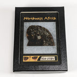  NWA 2384 Meteorite-in-a-Box | 15.6 Grams | Part Slice | LL4 Large Chondrules | Low TKW | Sahara Desert | SO24 1