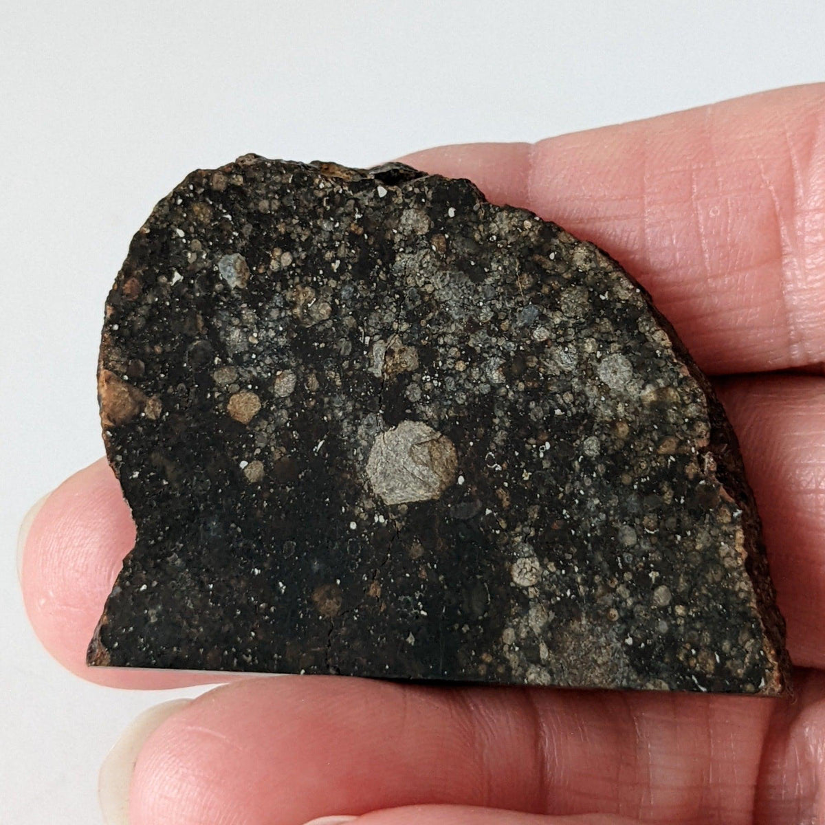  NWA 2384 Meteorite-in-a-Box | 15.6 Grams | Part Slice | LL4 Large Chondrules | Low TKW | Sahara Desert | SO24 2