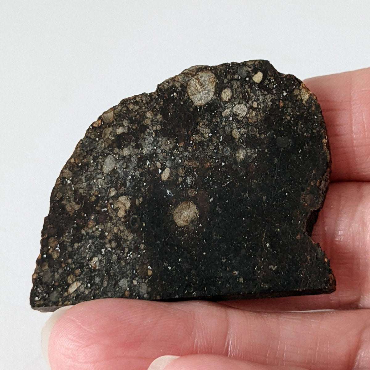  NWA 2384 Meteorite-in-a-Box | 15.6 Grams | Part Slice | LL4 Large Chondrules | Low TKW | Sahara Desert | SO24 3
