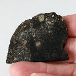  NWA 2384 Meteorite-in-a-Box | 15.6 Grams | Part Slice | LL4 Large Chondrules | Low TKW | Sahara Desert | SO24 3
