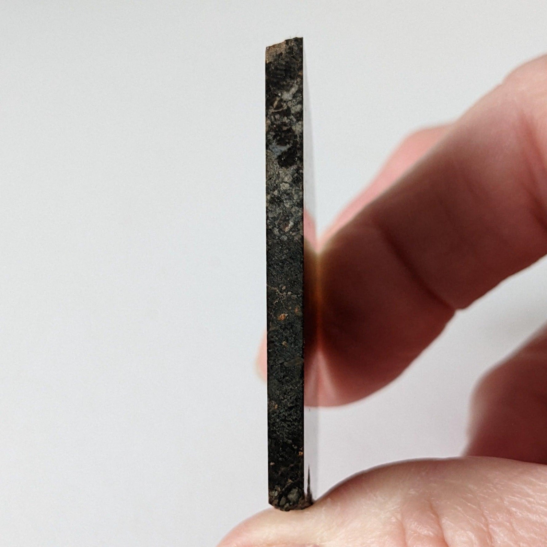  NWA 2384 Meteorite-in-a-Box | 15.6 Grams | Part Slice | LL4 Large Chondrules | Low TKW | Sahara Desert | SO24 4