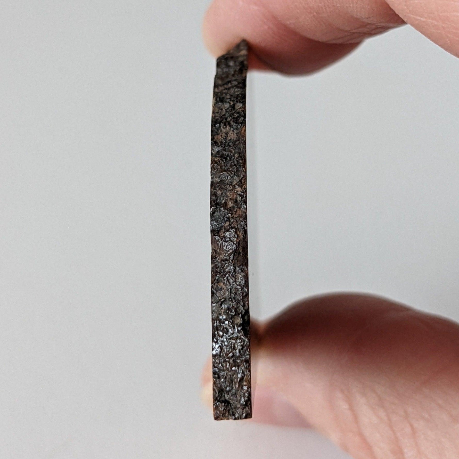  NWA 2384 Meteorite-in-a-Box | 15.6 Grams | Part Slice | LL4 Large Chondrules | Low TKW | Sahara Desert | SO24 5