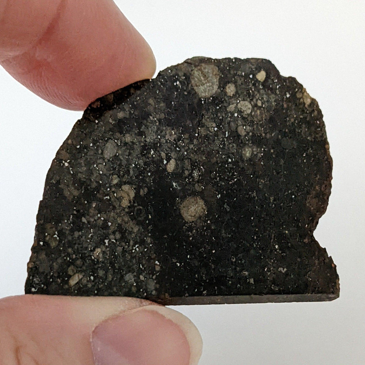  NWA 2384 Meteorite-in-a-Box | 15.6 Grams | Part Slice | LL4 Large Chondrules | Low TKW | Sahara Desert | SO24 7