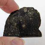  NWA 2384 Meteorite-in-a-Box | 15.6 Grams | Part Slice | LL4 Large Chondrules | Low TKW | Sahara Desert | SO24 7