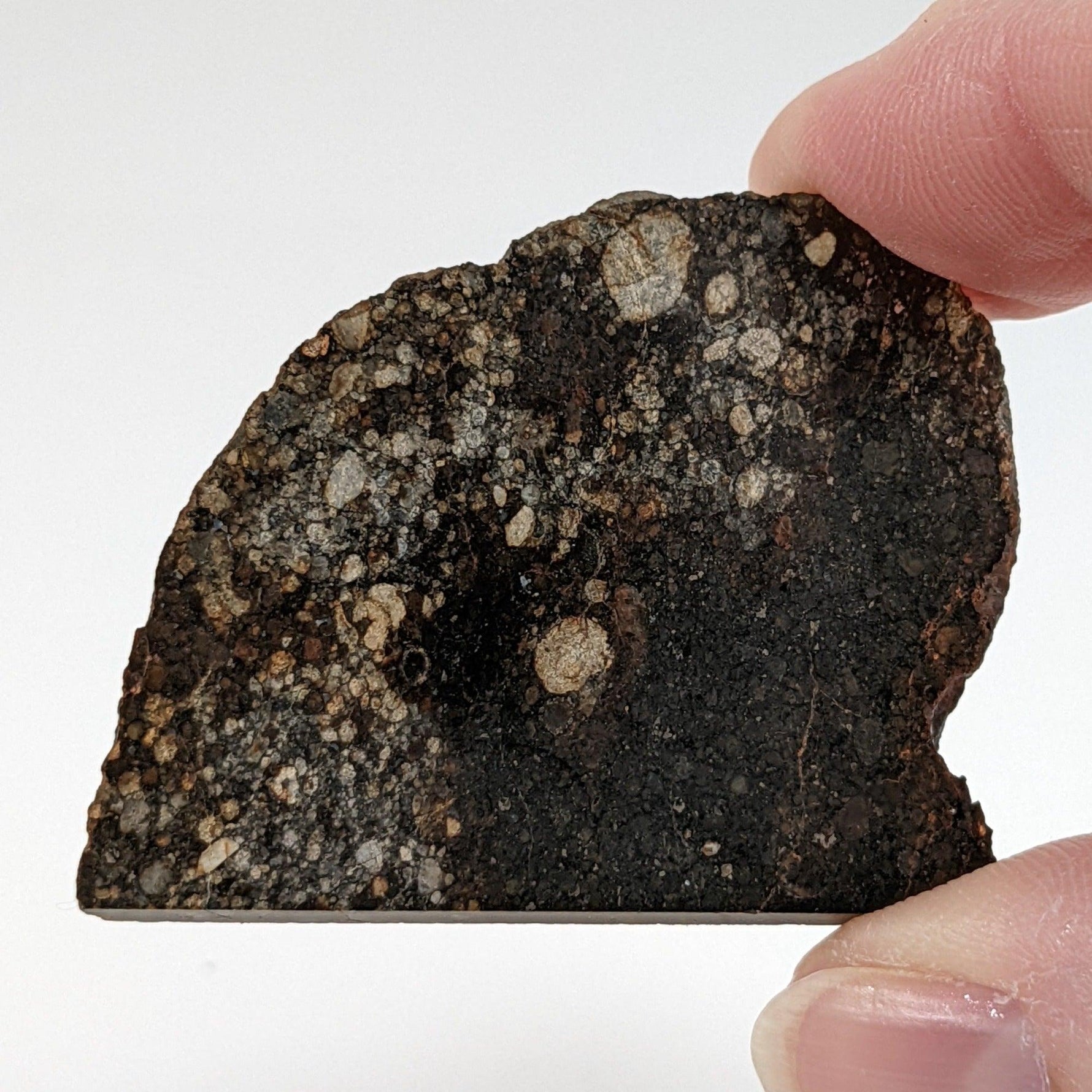  NWA 2384 Meteorite-in-a-Box | 15.6 Grams | Part Slice | LL4 Large Chondrules | Low TKW | Sahara Desert | SO24 8