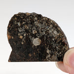  NWA 2384 Meteorite-in-a-Box | 15.6 Grams | Part Slice | LL4 Large Chondrules | Low TKW | Sahara Desert | SO24 9
