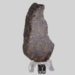  NWA 250 Meteorite | 55.70 Gr | Slice | L6 Chondrite | Sahara | SO24 