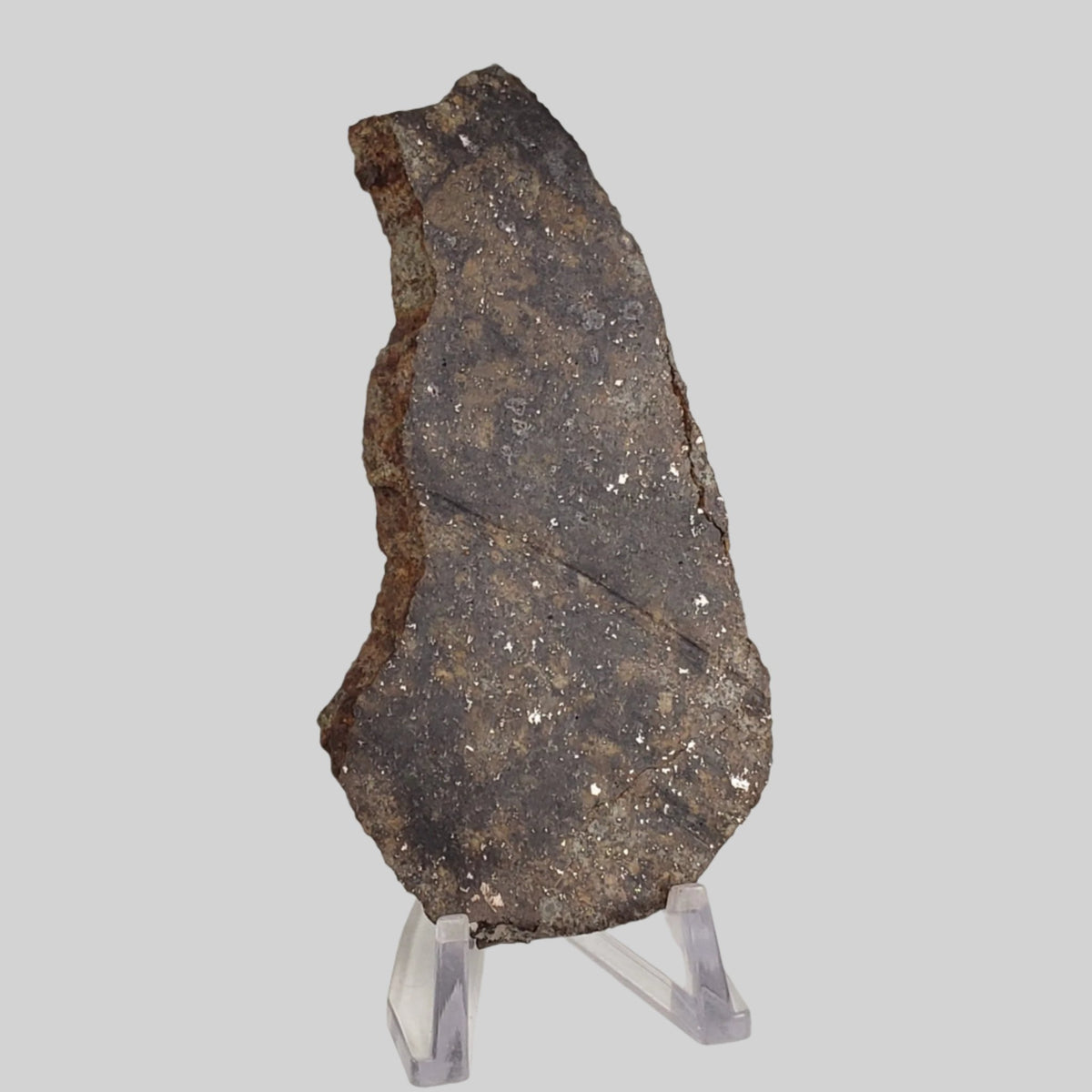  NWA 250 Meteorite | 55.70 Gr | Slice | L6 Chondrite | Sahara | SO24 1
