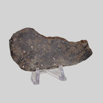  NWA 250 Meteorite | 55.70 Gr | Slice | L6 Chondrite | Sahara | SO24 2