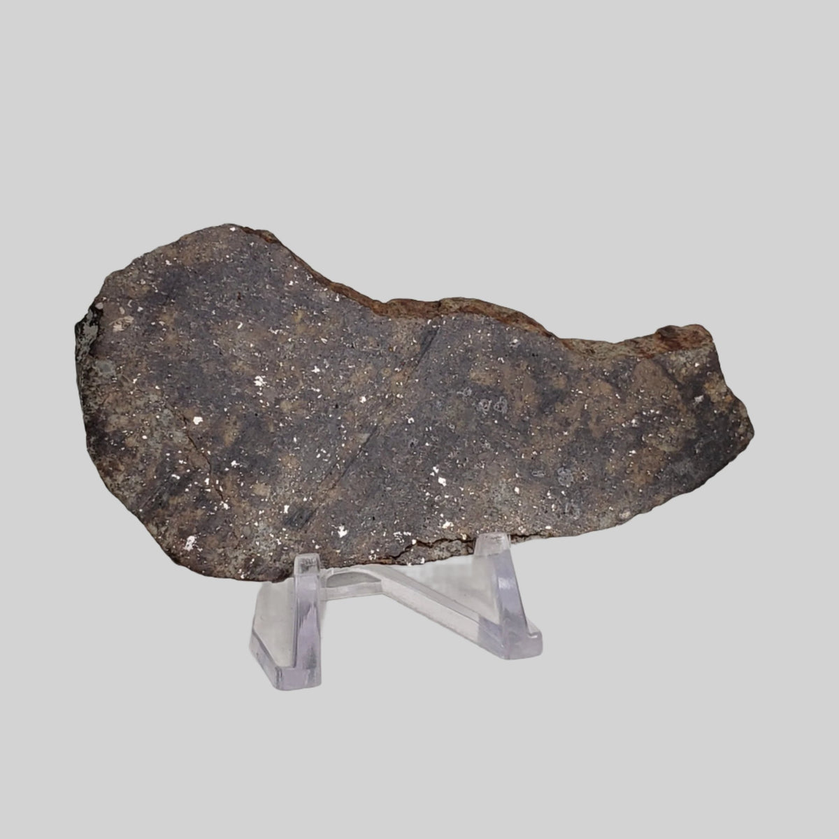  NWA 250 Meteorite | 55.70 Gr | Slice | L6 Chondrite | Sahara | SO24 2