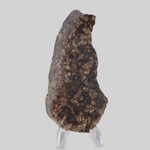  NWA 250 Meteorite | 55.70 Gr | Slice | L6 Chondrite | Sahara | SO24 3
