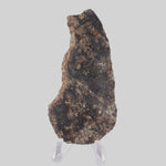  NWA 250 Meteorite | 55.70 Gr | Slice | L6 Chondrite | Sahara | SO24 4