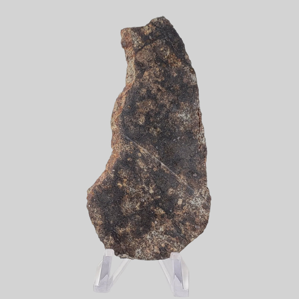  NWA 250 Meteorite | 55.70 Gr | Slice | L6 Chondrite | Sahara | SO24 4
