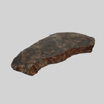 NWA 250 Meteorite | 55.70 Gr | Slice | L6 Chondrite | Sahara | SO24 5