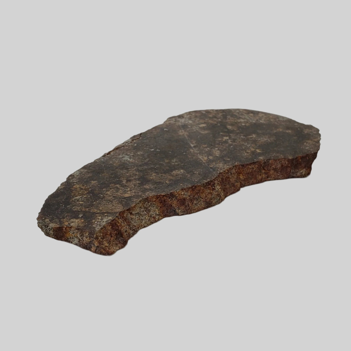  NWA 250 Meteorite | 55.70 Gr | Slice | L6 Chondrite | Sahara | SO24 5